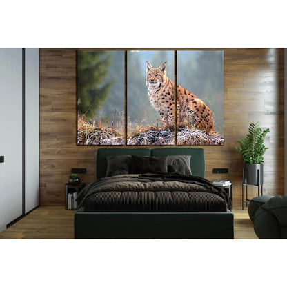 The Eurasian lynx №SL1541 Ready to Hang Canvas PrintCanvas art arrives ready to hang, with hanging accessories included and no additional framing required. Every canvas print is hand-crafted, made on-demand at our workshop and expertly stretched around 10