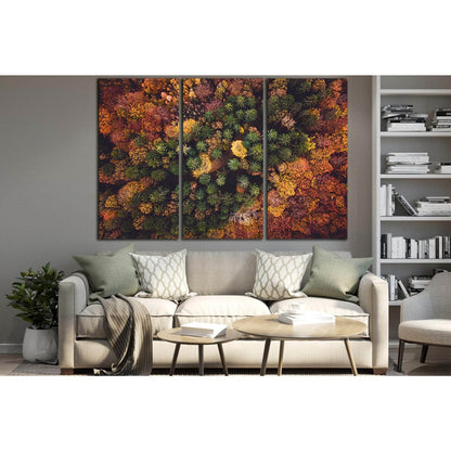 Autumn Forest Aerial View №SL1481 Ready to Hang Canvas PrintCanvas art arrives ready to hang, with hanging accessories included and no additional framing required. Every canvas print is hand-crafted, made on-demand at our workshop and expertly stretched a