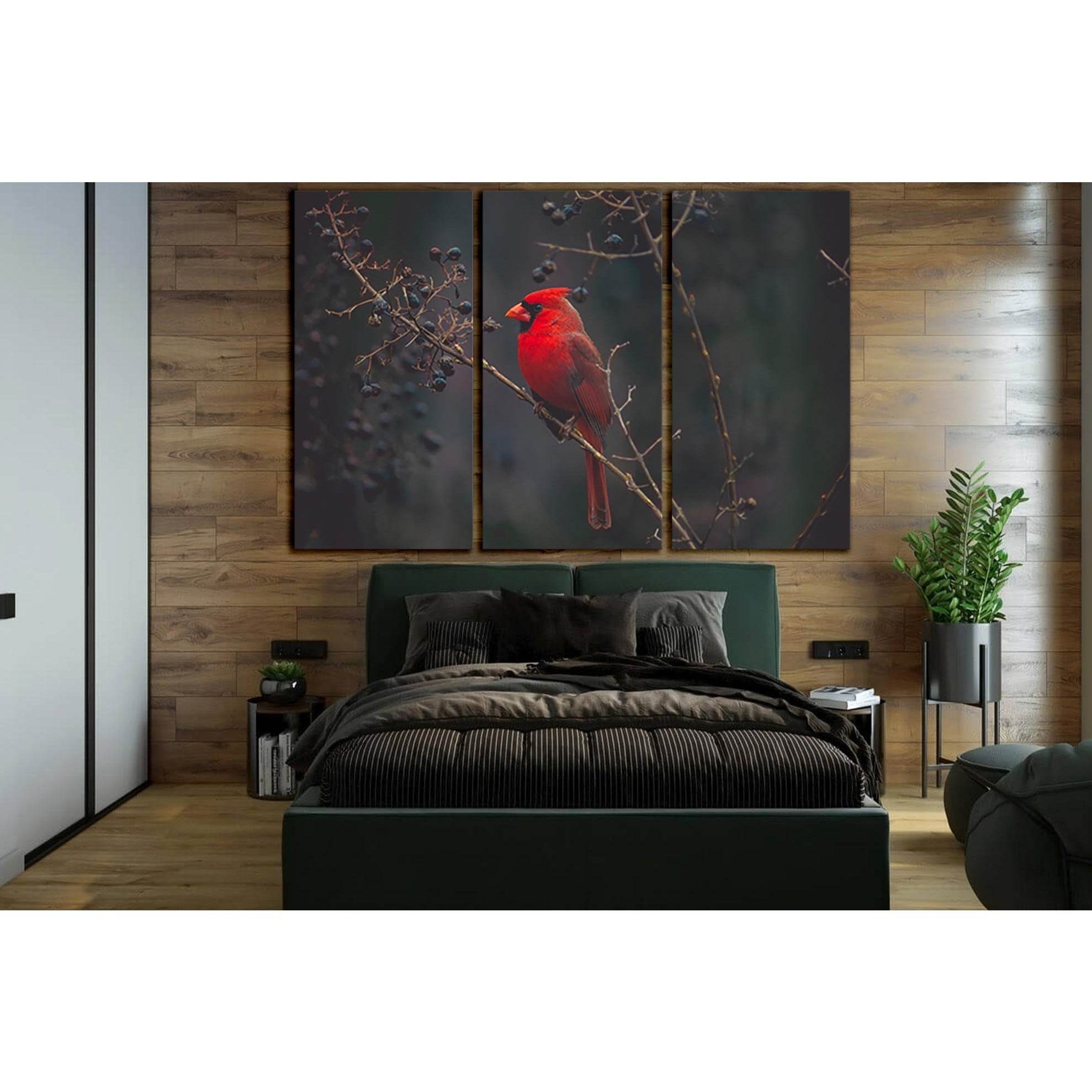 Bird Red Cardinal №SL1528 Ready to Hang Canvas Print