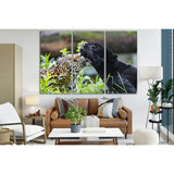 Tender Moment With Leopards №SL1519 Ready to Hang Canvas Print