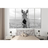 Zebra Black And White Portrait №SL1561 Ready to Hang Canvas Print