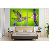 Little Hummingbird Close Up №SL1548 Ready to Hang Canvas Print