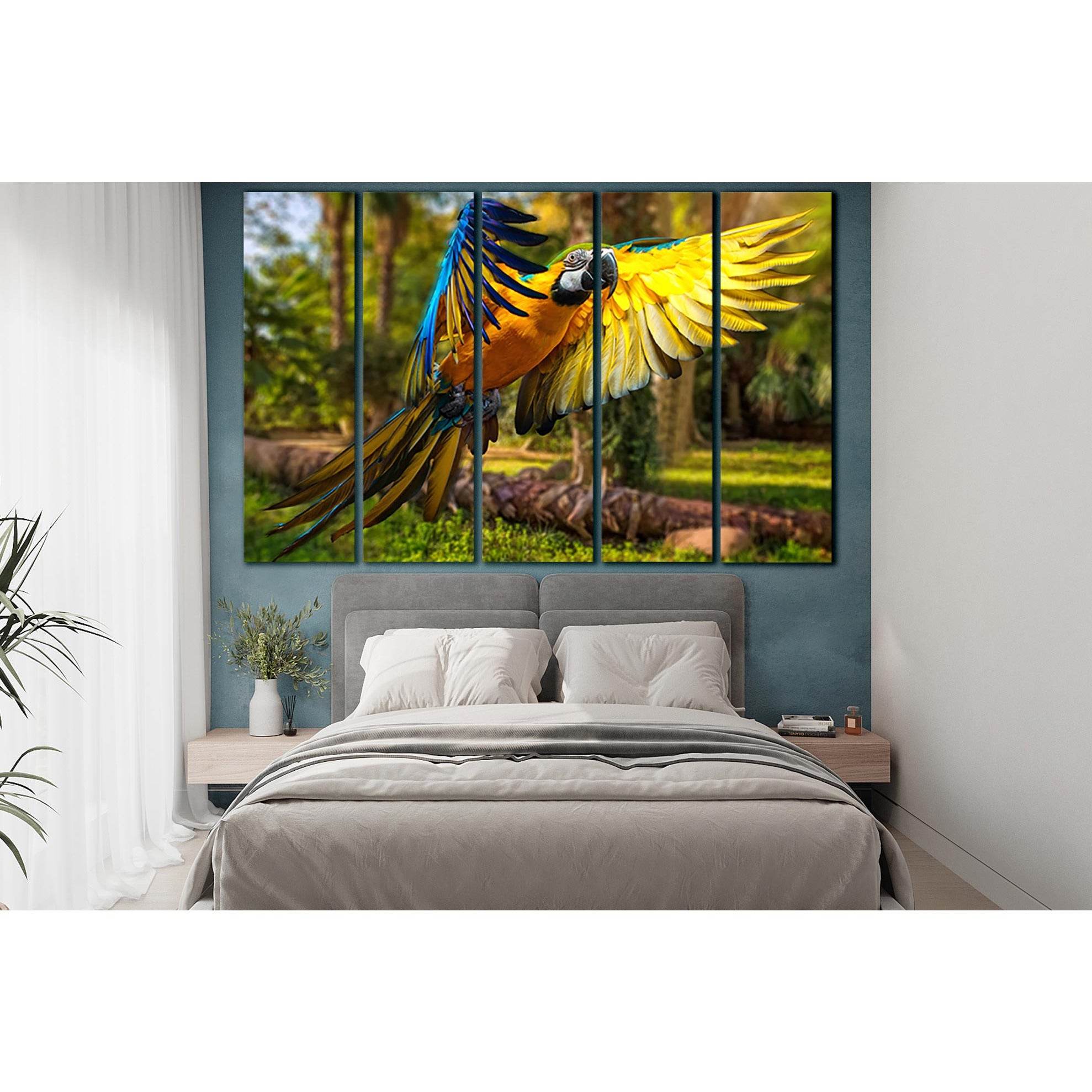 Flying Parrot Macaw Close Up №SL1501 Ready to Hang Canvas Print