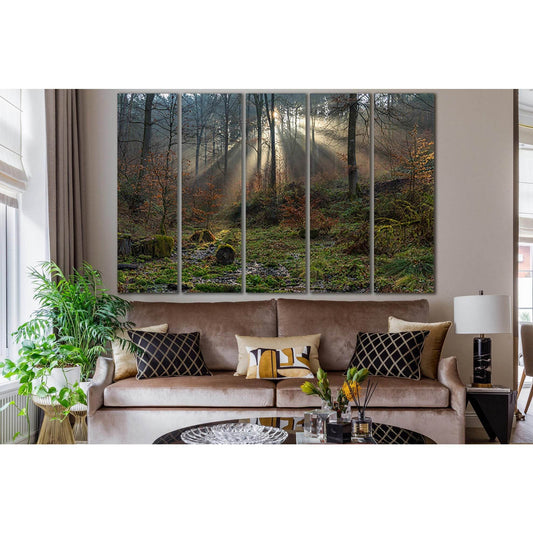 Trees Moss Rays Of Light №SL1072 Ready to Hang Canvas PrintCanvas art arrives ready to hang, with hanging accessories included and no additional framing required. Every canvas print is hand-crafted, made on-demand at our workshop and expertly stretched ar