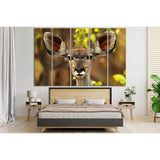 Portrait Africa Antelope №SL1542 Ready to Hang Canvas Print