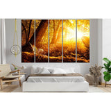 Sunbeams In The Autumn Forest №SL1498 Ready to Hang Canvas Print