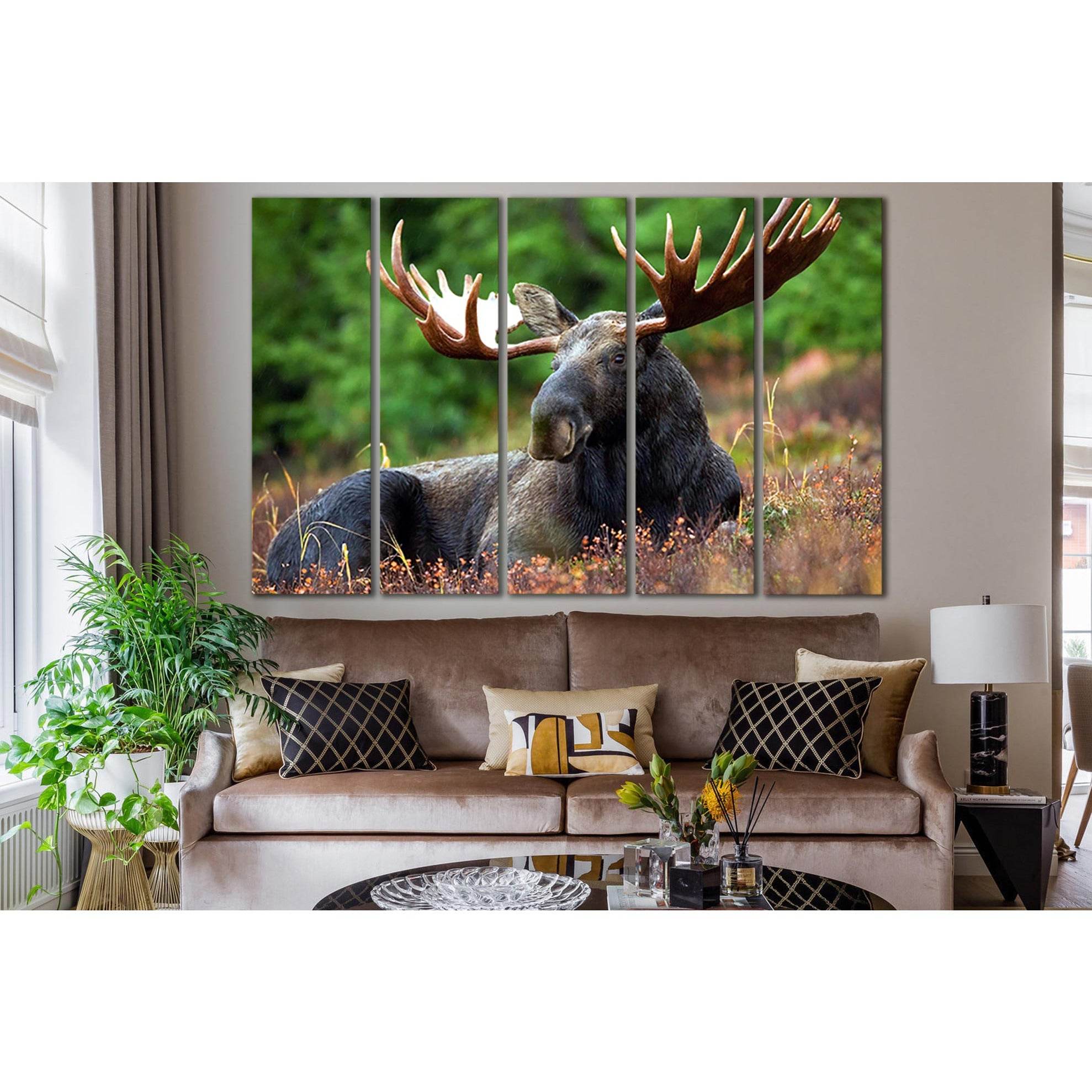 Elk Resting In The Meadow №SL1547 Ready to Hang Canvas Print