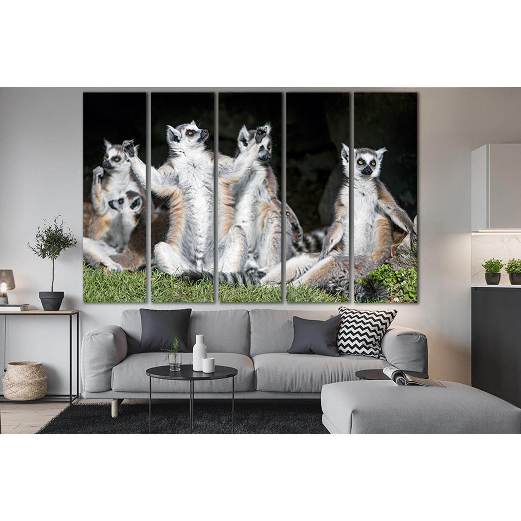 Funny Ring Tailed Lemurs №SL1544 Ready to Hang Canvas Print