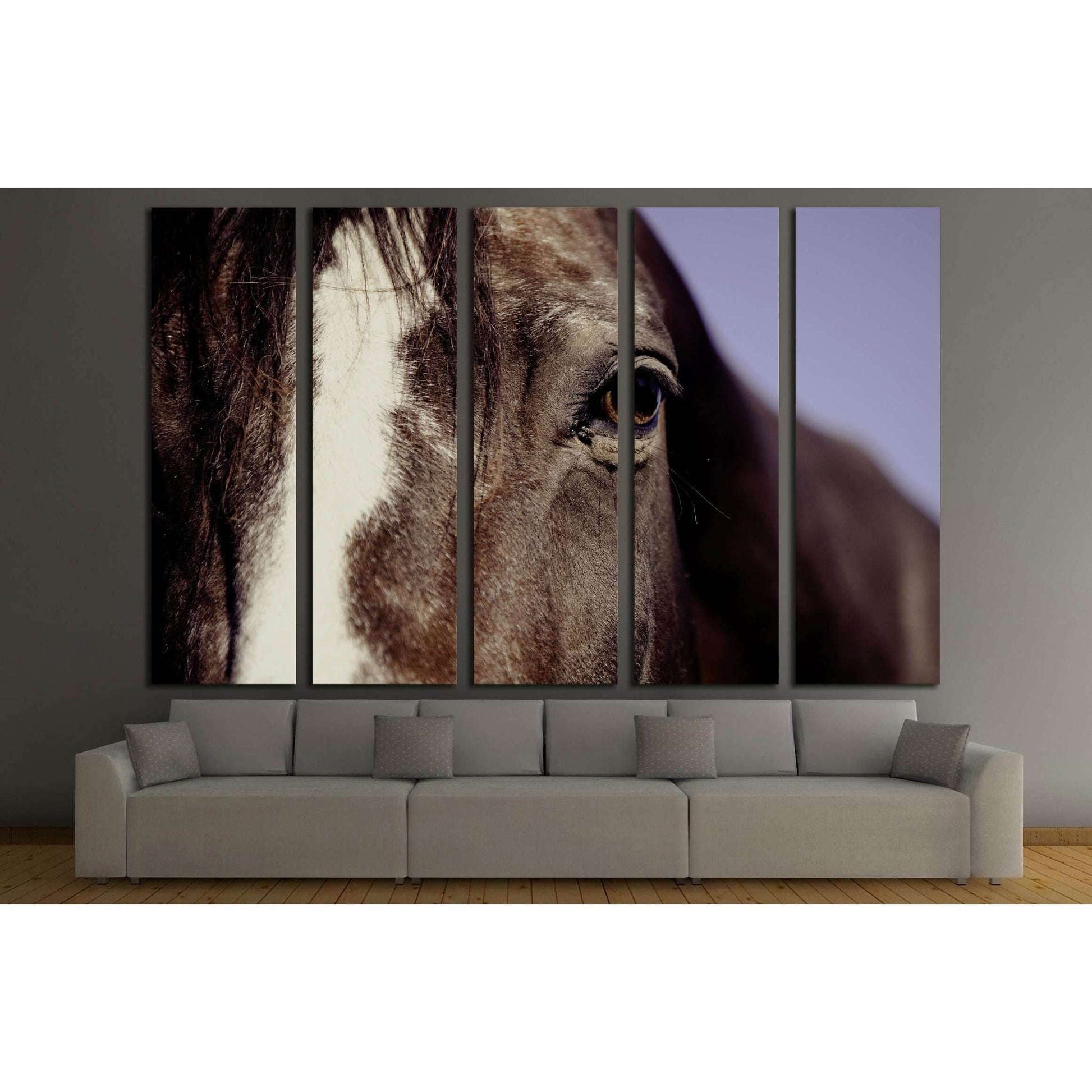 Closeup horse canvas print №5017Canvas art arrives ready to hang, with hanging accessories included and no additional framing required. Every canvas print is hand-crafted, made on-demand at our workshop and expertly stretched around 100% North American Pi