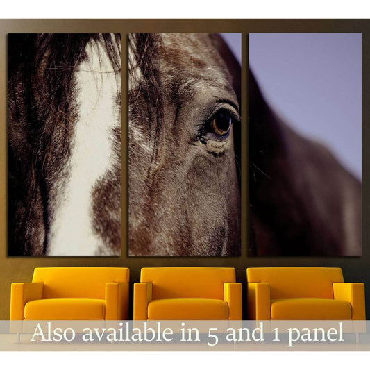 Closeup horse canvas print №5017Canvas art arrives ready to hang, with hanging accessories included and no additional framing required. Every canvas print is hand-crafted, made on-demand at our workshop and expertly stretched around 100% North American Pi
