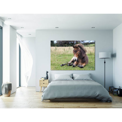 Pony Lying On The Grass In Exmoor №04246 Ready to Hang Canvas PrintCanvas art arrives ready to hang, with hanging accessories included and no additional framing required. Every canvas print is hand-crafted, made on-demand at our workshop and expertly stre