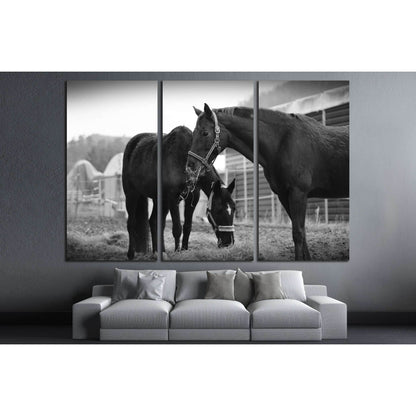 Black and white horse wall art №5008Canvas art arrives ready to hang, with hanging accessories included and no additional framing required. Every canvas print is hand-crafted, made on-demand at our workshop and expertly stretched around 100% North America