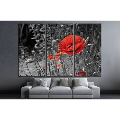 Vivid Red Poppies Canvas Art - Symbolic Nature DecorThis canvas print features a selective color technique highlighting vibrant red poppies against a monochrome background, bringing a striking contrast that draws the eye. The poppies, symbolizing remembra