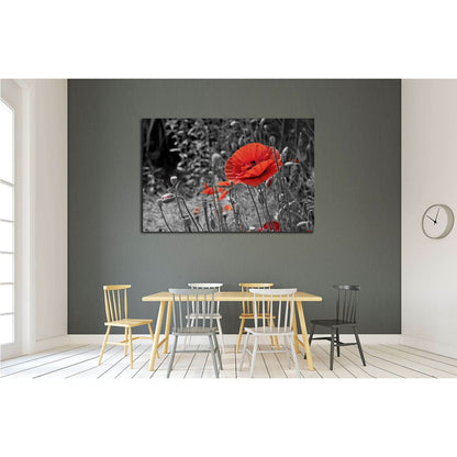 A closeup of a red poppy on a black and white background №2752 Ready to Hang Canvas Print - Zellart Canvas Prints ALL_Products, s-2752