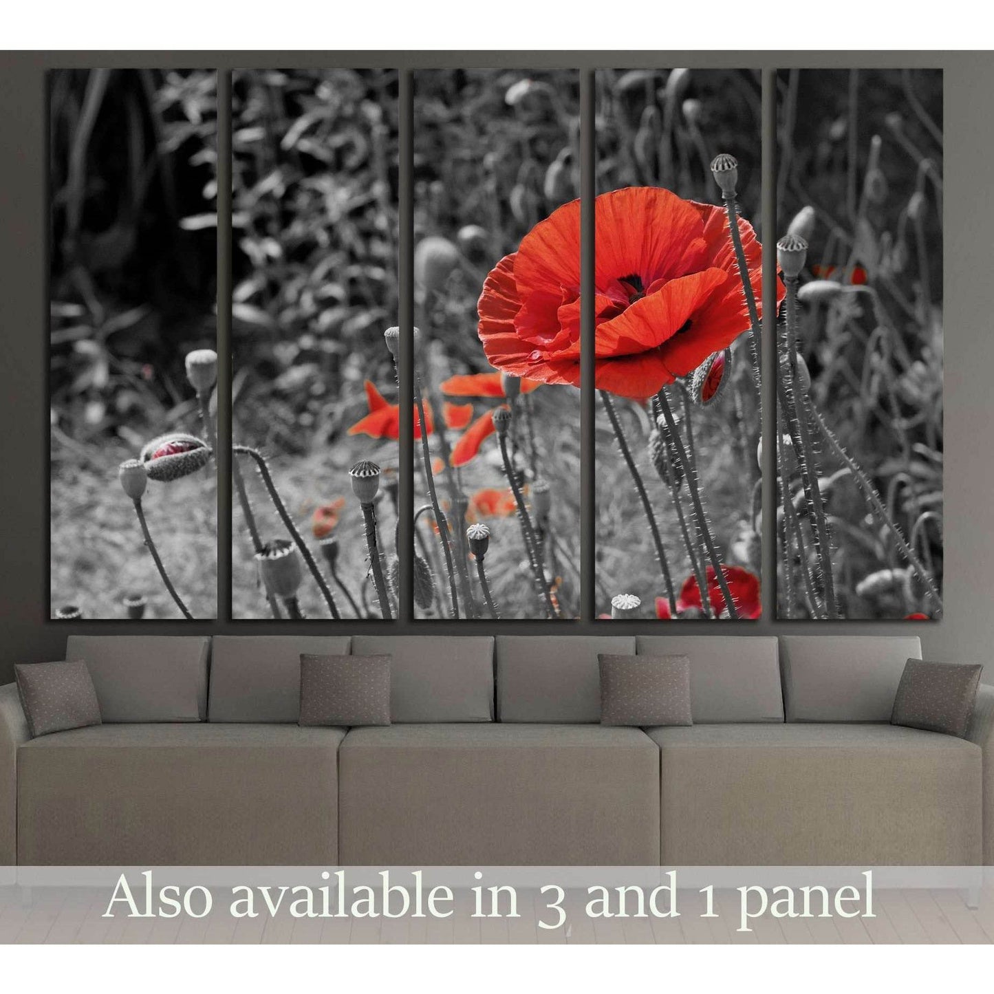 A closeup of a red poppy on a black and white background №2752 Ready to Hang Canvas Print - Zellart Canvas Prints ALL_Products, s-2752