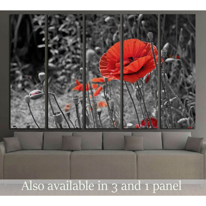 A closeup of a red poppy on a black and white background №2752 Ready to Hang Canvas Print - Zellart Canvas Prints ALL_Products, s-2752