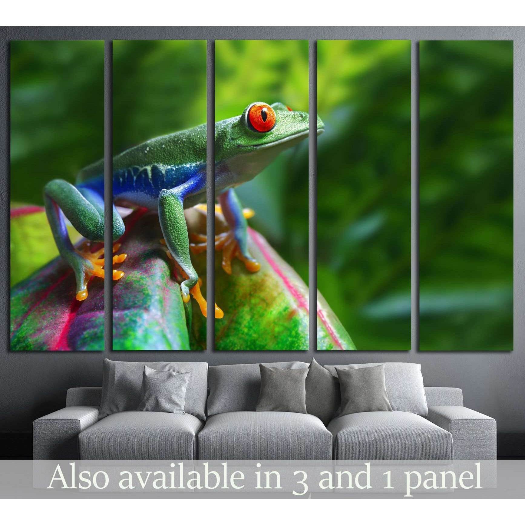 A colorful Red-Eyed Tree Frog in its tropical setting №1840 Ready to Hang Canvas Print