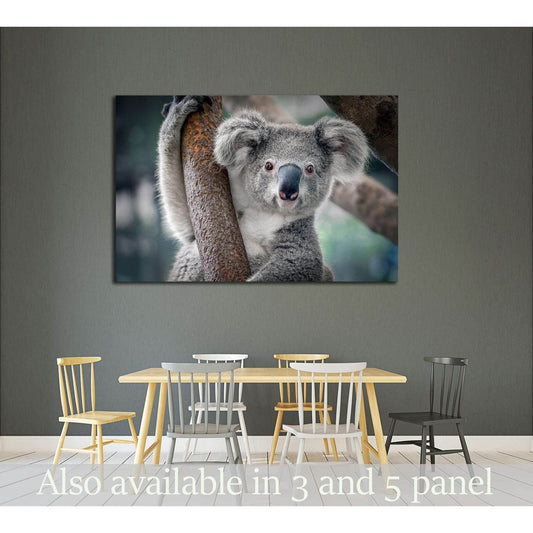 A cute koala №2378 Ready to Hang Canvas Print - Zellart Canvas Prints ALL_Products, s-2378