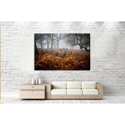 A Deer in the fog, Richmond Park, London №2379 Ready to Hang Canvas Print - Zellart Canvas Prints ALL_Products, s-2379