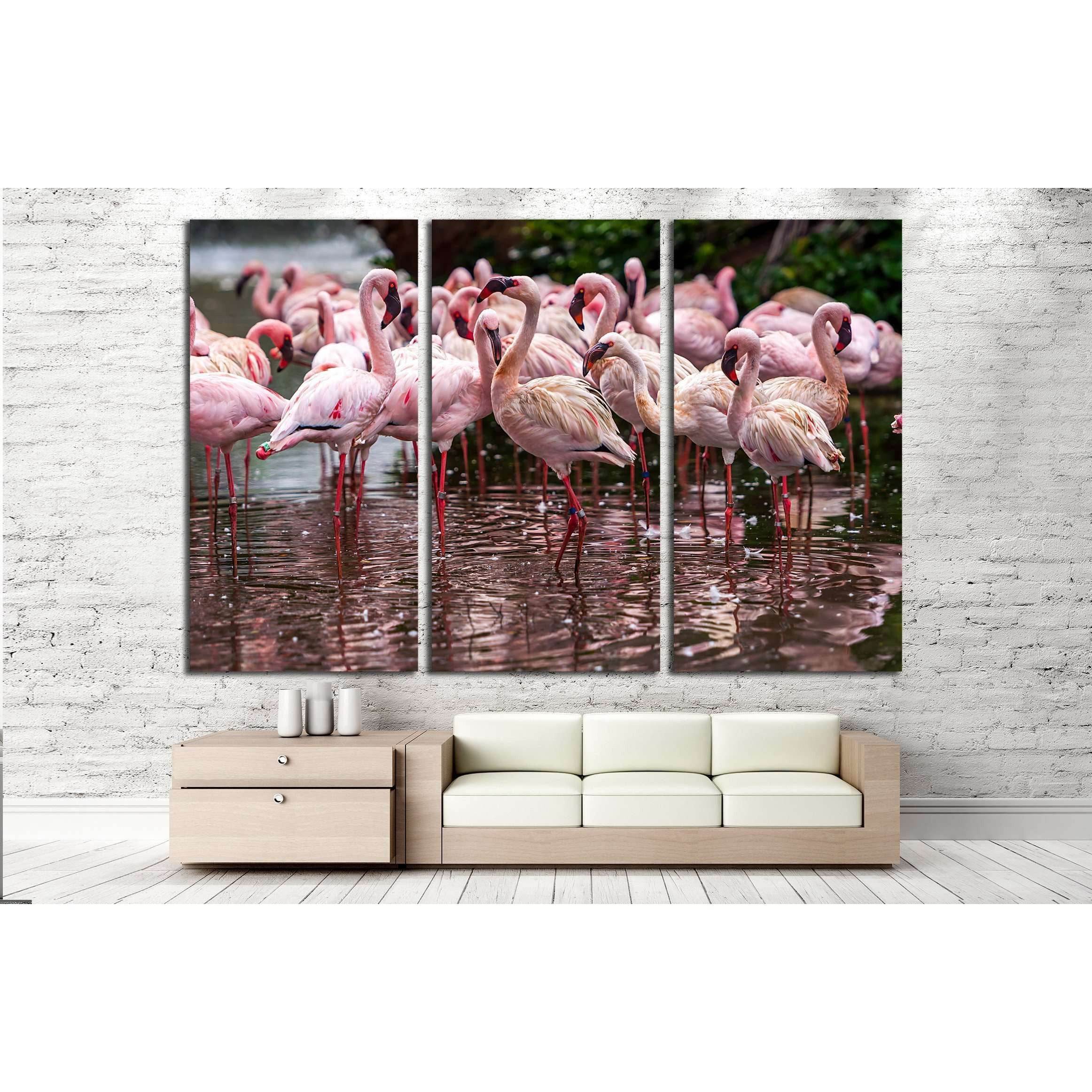 A flock of pink flamingos and reflection in the water №2795 Ready to Hang Canvas Print