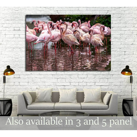 A flock of pink flamingos and reflection in the water №2795 Ready to Hang Canvas Print - Zellart Canvas Prints ALL_Products, s-2795