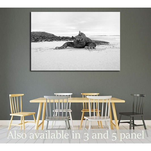 A marine iguana walking on the beach on Galapagos №3258 Ready to Hang Canvas Print - Zellart Canvas Prints ALL_Products, s-3258