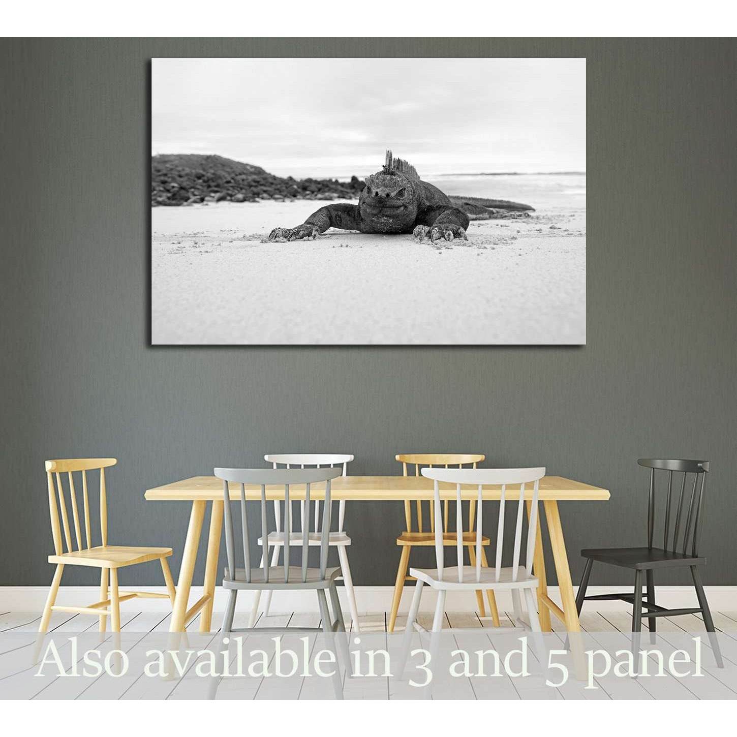 A marine iguana walking on the beach on Galapagos №3258 Ready to Hang Canvas PrintCanvas art arrives ready to hang, with hanging accessories included and no additional framing required. Every canvas print is hand-crafted, made on-demand at our workshop an