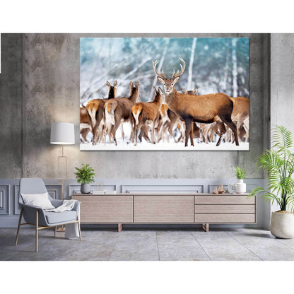 A noble deer in the herd №04138 Ready to Hang Canvas Print - Zellart Canvas Prints ALL_Products