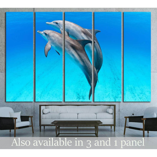 A playful dolphin duo in the seas of the Bahamas №2369 Ready to Hang Canvas Print - Zellart Canvas Prints ALL_Products, s-2369