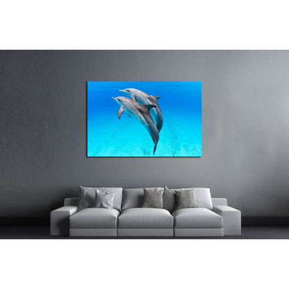 A playful dolphin duo in the seas of the Bahamas №2369 Ready to Hang Canvas PrintCanvas art arrives ready to hang, with hanging accessories included and no additional framing required. Every canvas print is hand-crafted, made on-demand at our workshop and