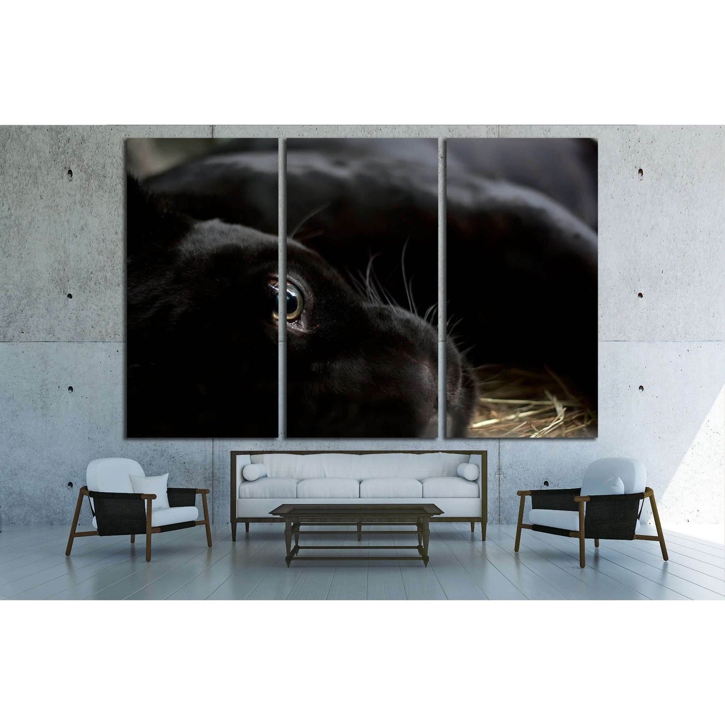 Abstract illustration on a music theme. Copy-space №2340 Ready to Hang Canvas Print - Zellart Canvas Prints ALL_Products, s-2340