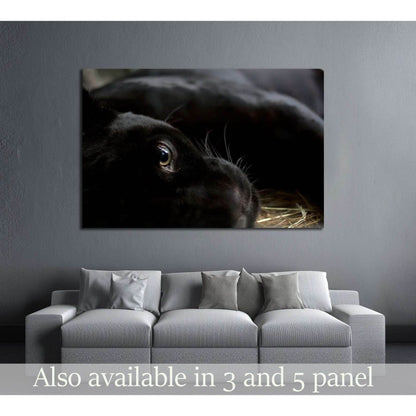 Abstract illustration on a music theme. Copy-space №2340 Ready to Hang Canvas Print - Zellart Canvas Prints ALL_Products, s-2340