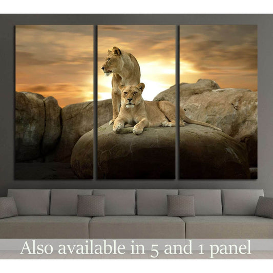 African Lion №2351 Ready to Hang Canvas Print - Zellart Canvas Prints ALL_Products, Lion, s-2351
