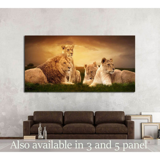 African lions resting at sunset in the grass №2370 Ready to Hang Canvas Print - Zellart Canvas Prints ALL_Products, Lion, s-2370