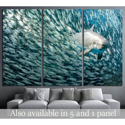 Amazing Dolphin №508 Ready to Hang Canvas PrintCanvas art arrives ready to hang, with hanging accessories included and no additional framing required. Every canvas print is hand-crafted, made on-demand at our workshop and expertly stretched around 100% No
