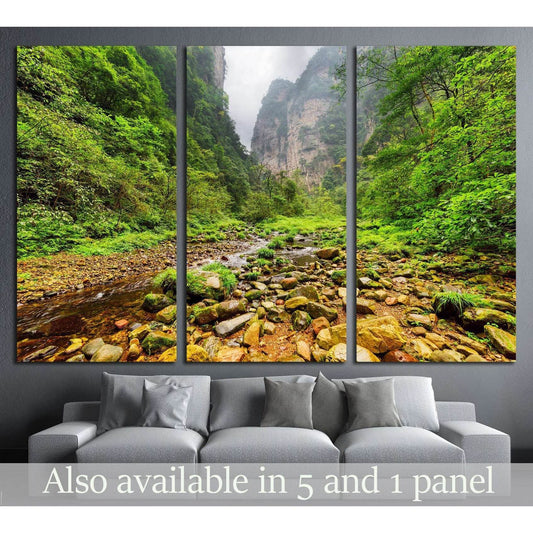Amazing view of mountain river with crystal clear water,Zhangjiajie National Forest Park, Hunan Province, China №1991 Ready to Hang Canvas Print - Zellart Canvas Prints ALL_Products, s-1991