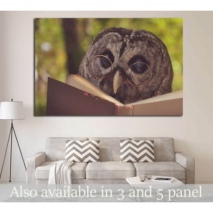 An owl animal with glasses is reading a book in the woods №1849 Ready to Hang Canvas Print - Zellart Canvas Prints ALL_Products, Owl, s-1849