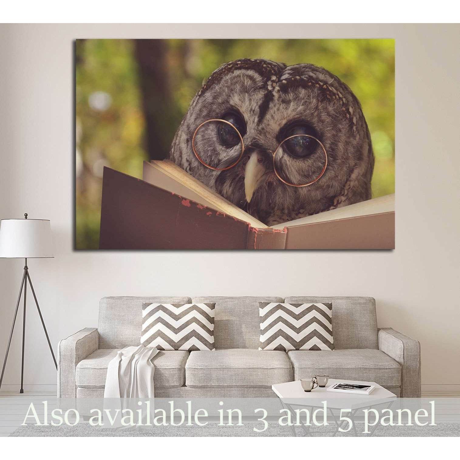 An owl animal with glasses is reading a book in the woods №1849 - canvas print wall art by Zellart