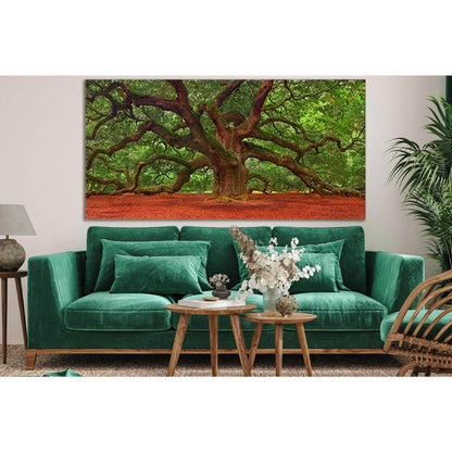 Angel Oak Tree №SL814 Ready to Hang Canvas Print - Zellart Canvas Prints 0new, ALL_Products, Trees Wall Art