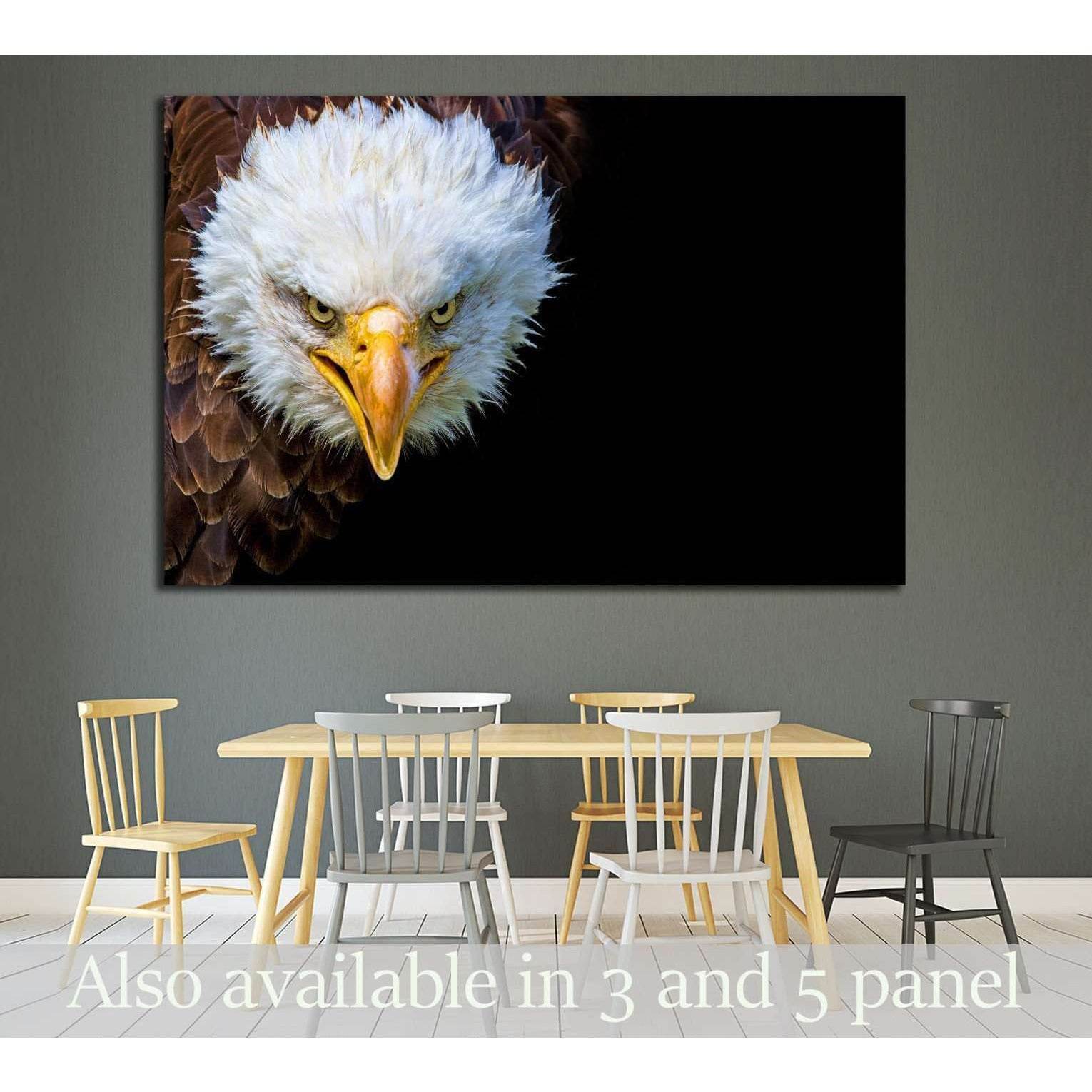 Angry north american bald eagle on black background №1863 - canvas print wall art by Zellart