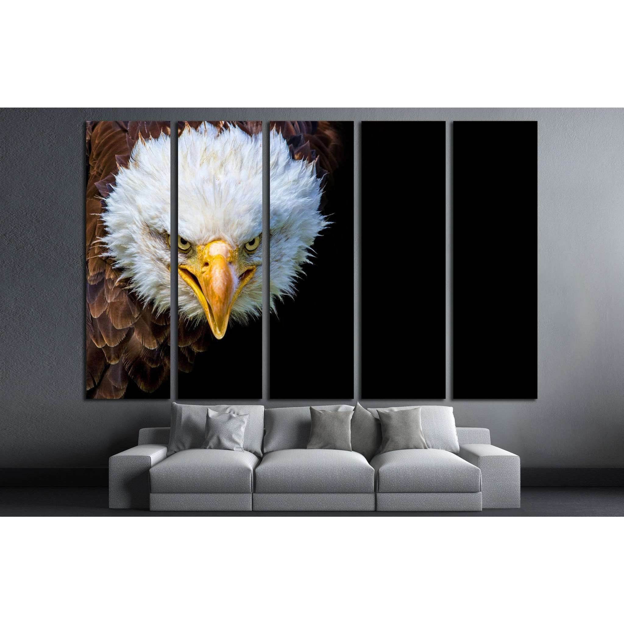 Angry north american bald eagle on black background №1863 Ready to Hang Canvas Print