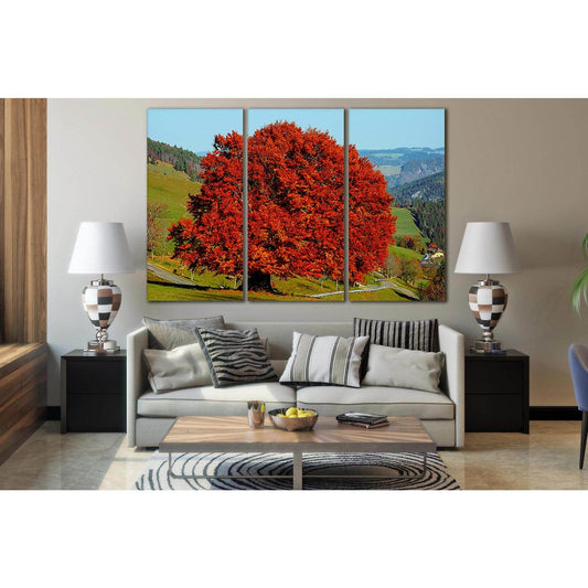 Autumn Beech Deciduous Tree №SL500 Ready to Hang Canvas Print - Zellart Canvas Prints 0new, ALL_Products, Trees Wall Art