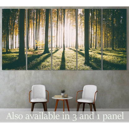 Autumn Forest Woods Artwork for Natural-Themed RoomsThis canvas print encapsulates the serene beauty of a forest bathed in the gentle light of morning. The sun's rays filter through the trees, casting elongated shadows and a peaceful glow on the forest fl
