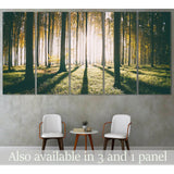 Autumn Forest №3012 Ready to Hang Canvas Print