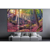 Autumn morning in mystical woods. Instagram toning №3093 Ready to Hang Canvas Print