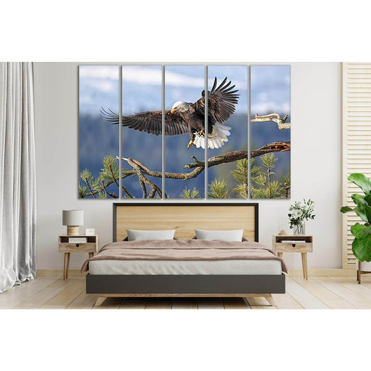 Bald Eagle With A Caught Fish №SL1052 Ready to Hang Canvas Print - Zellart Canvas Prints 0new, ALL_Products, Animals & Wildlife