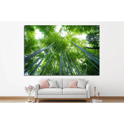Towering Bamboo Forest Canvas Print for Zen-Inspired InteriorsThis canvas print beautifully captures the towering elegance of a bamboo forest, with the trees reaching skyward in a display of natural symmetry. The lush greenery invites a sense of growth an