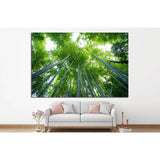 Bamboo forest, Kyoto, Japan №18 Ready to Hang Canvas Print