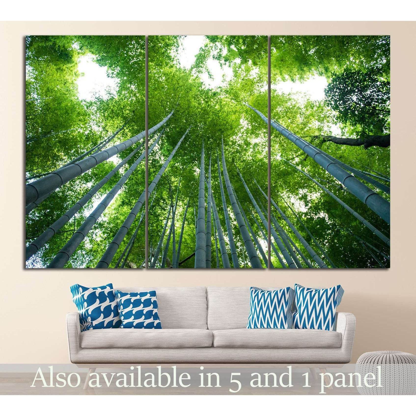 Bamboo forest, Kyoto, Japan №18 Ready to Hang Canvas Print