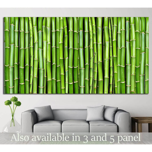 Bamboo №17 Ready to Hang Canvas PrintCanvas art arrives ready to hang, with hanging accessories included and no additional framing required. Every canvas print is hand-crafted, made on-demand at our workshop and expertly stretched around 100% North Americ